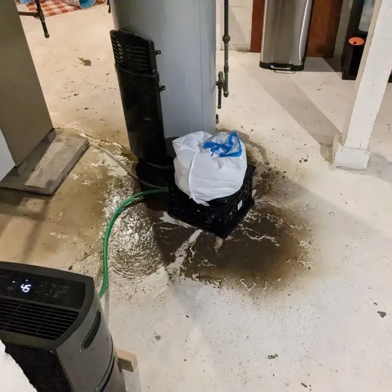 Sewage Backup Cleanup Service in Buffalo, SC